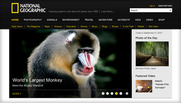 ddos网页在线攻击